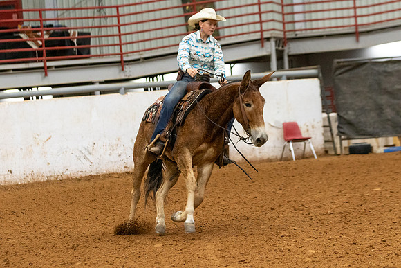 Mule&FuturityR2-25