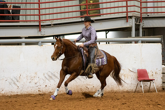 Mule&FuturityR2-496