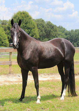 IMG_0876