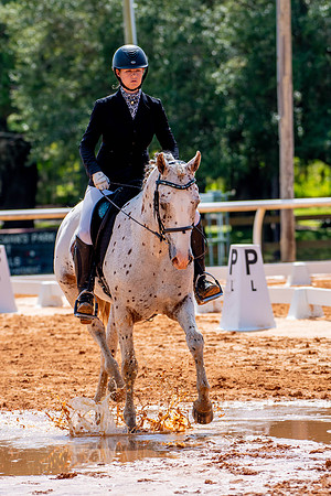 HorseShow-0703