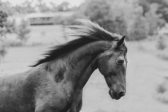 0G1A8964-Edit