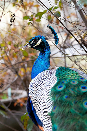 IMG_1870