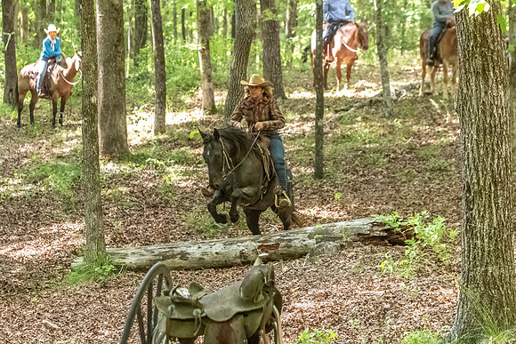 HodgesAL2026-2539
