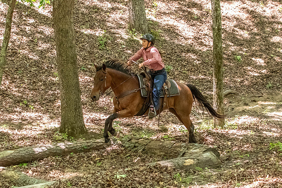 HodgesAL2026-2011