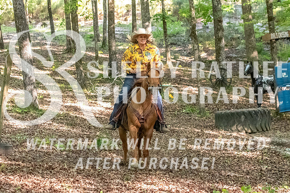 HodgesAL2026-2733