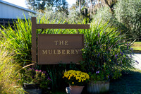 11/22/25 Santagata Wedding The Mulberry - Weddings by Ray