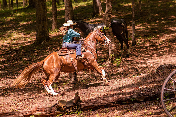 HodgesRace-6117