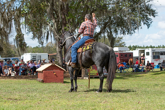 Tim-3939