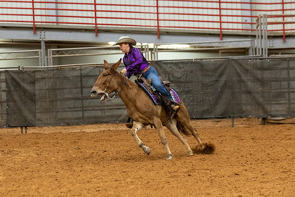 Mule&FuturityR2-229