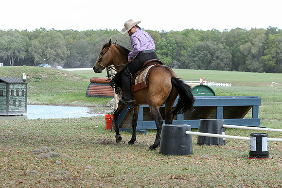 0G1A1493