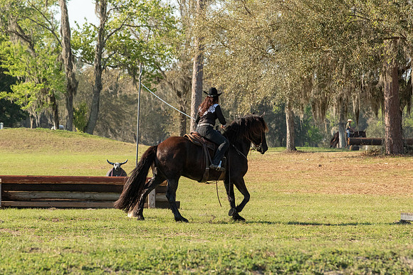 EXCAOcala-7607