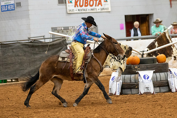 Mule&FuturityR2-185