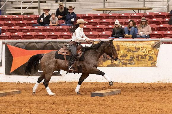 Novice-4449