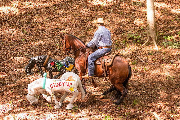 HodgesRace-5279