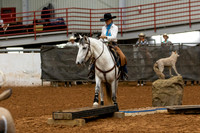 Mustang&MuleR1-411
