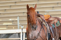EXCAGARace2026Clinic-0769