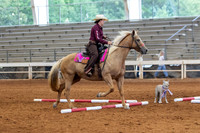 Schuyler, Ansley