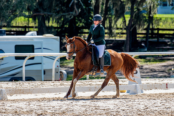 HorseShow-0682