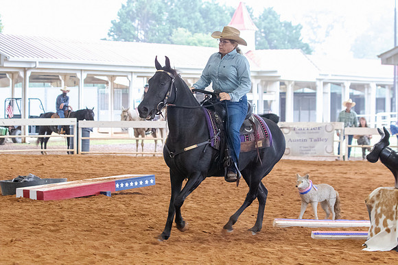 EXCARegionals-286