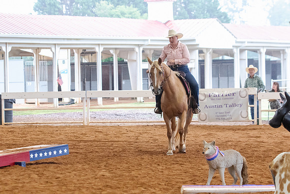 EXCARegionals-234