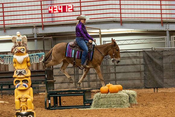 Mule&FuturityR2-226