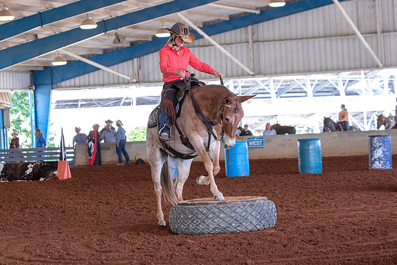 Round2EXCANationals-0253