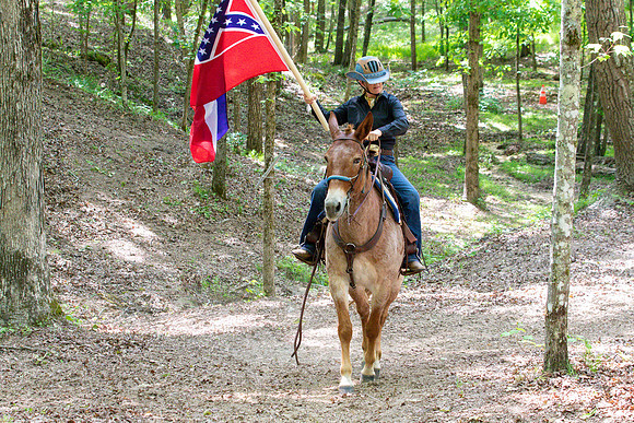 HodgesAL2023-1878