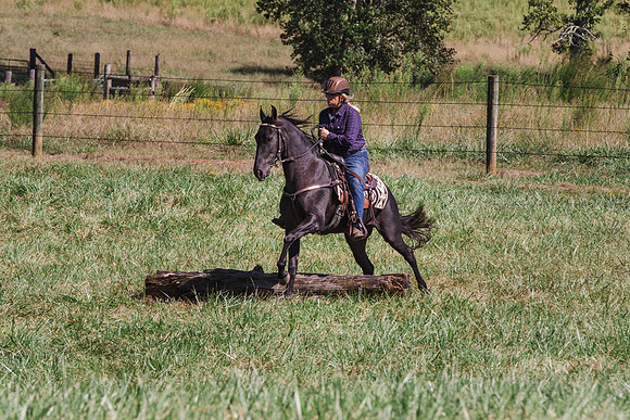 Terri-1746