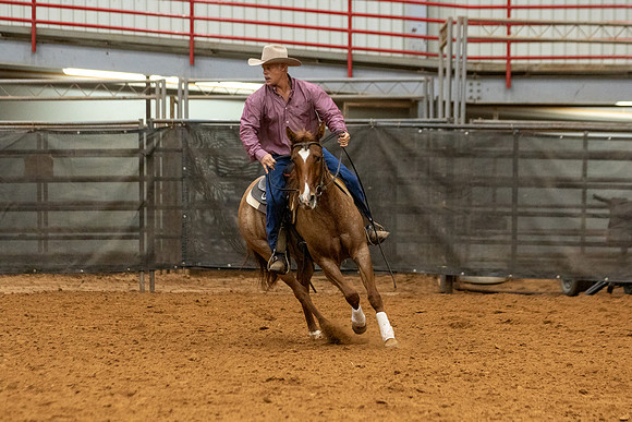 Mule&FuturityR2-386
