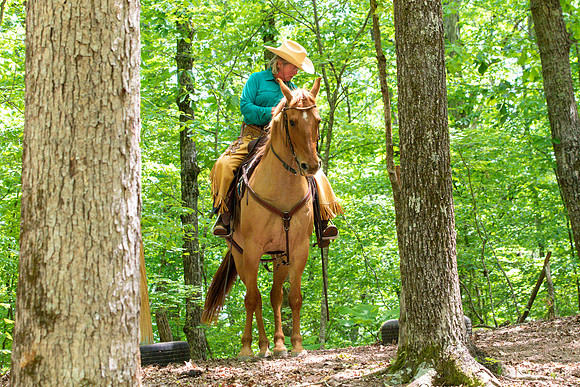 HodgesAL2023-1142