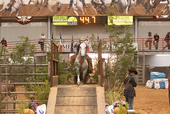 Mustang-1402
