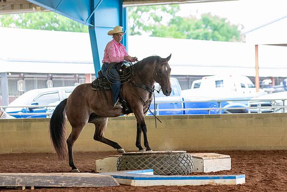 Round2EXCANationals-1472