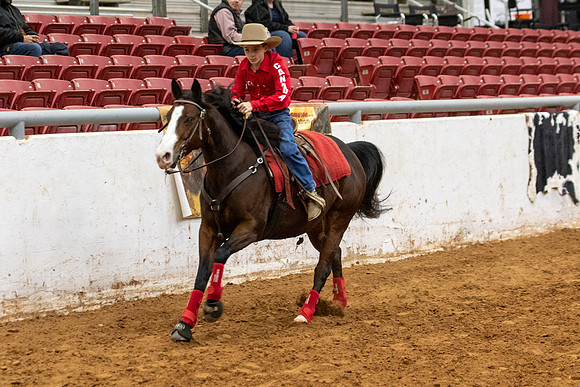 YGR2-31