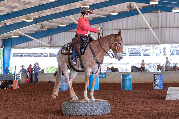 Round2EXCANationals-0255