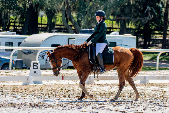 HorseShow-0674