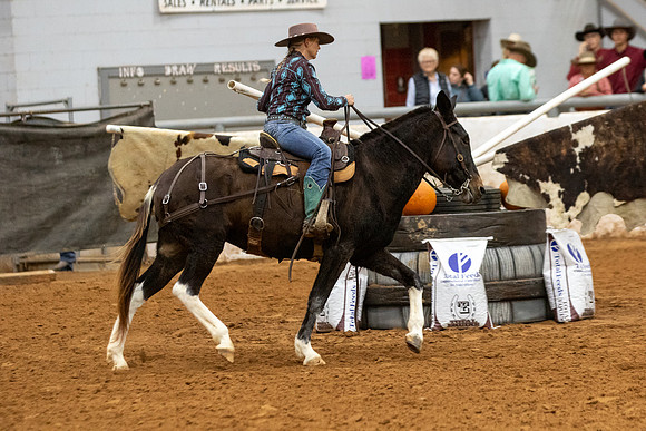 Mule&FuturityR2-213