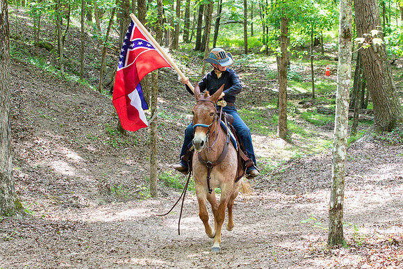 HodgesAL2023-1876