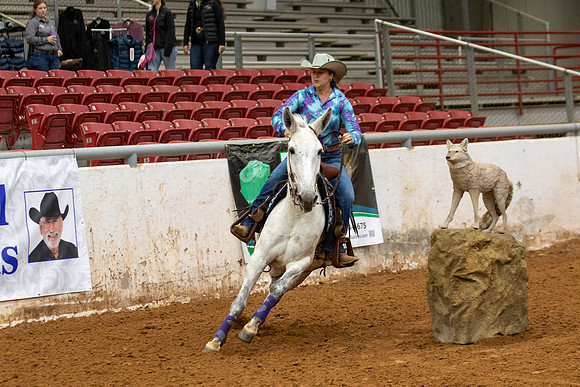 Mule&FuturityR2-142