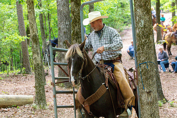 HodgesAL2023-0781