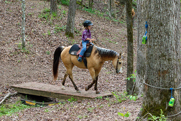 HodgesAL2023-1727