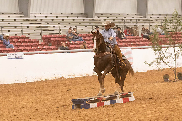 Futurity-2-36