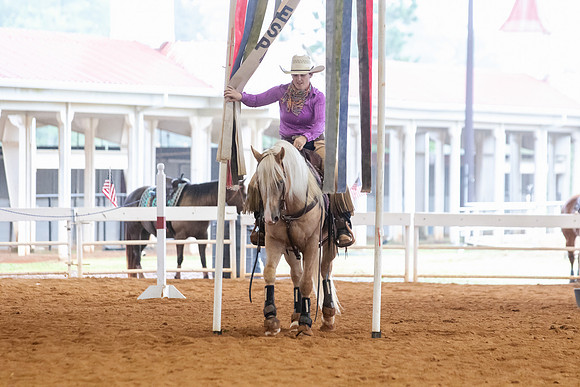 EXCARegionals-513