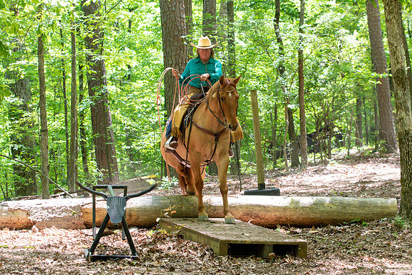 HodgesAL2023-1138