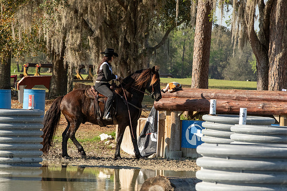 EXCAOcala-7619