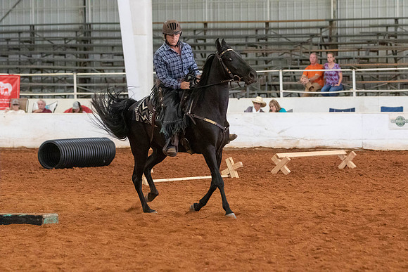 Terri-1377