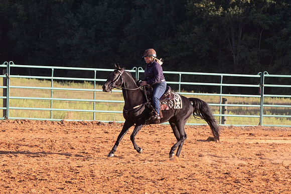 Terri-3052
