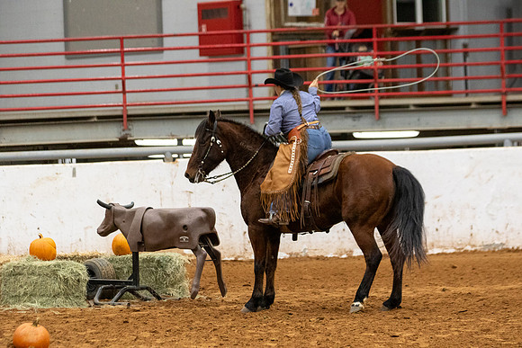 Mustang&MuleR1-209
