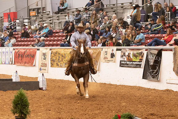 Futurity-2-37