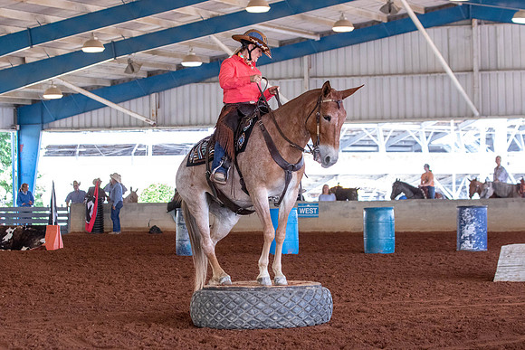 Round2EXCANationals-0254