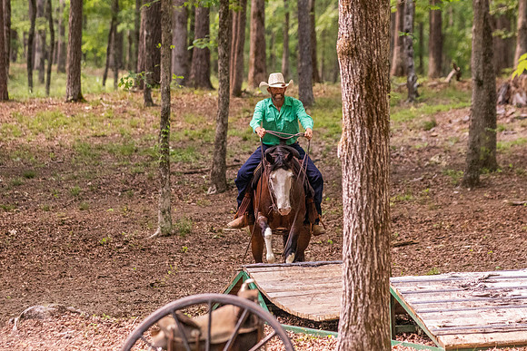 HodgesRace-6629